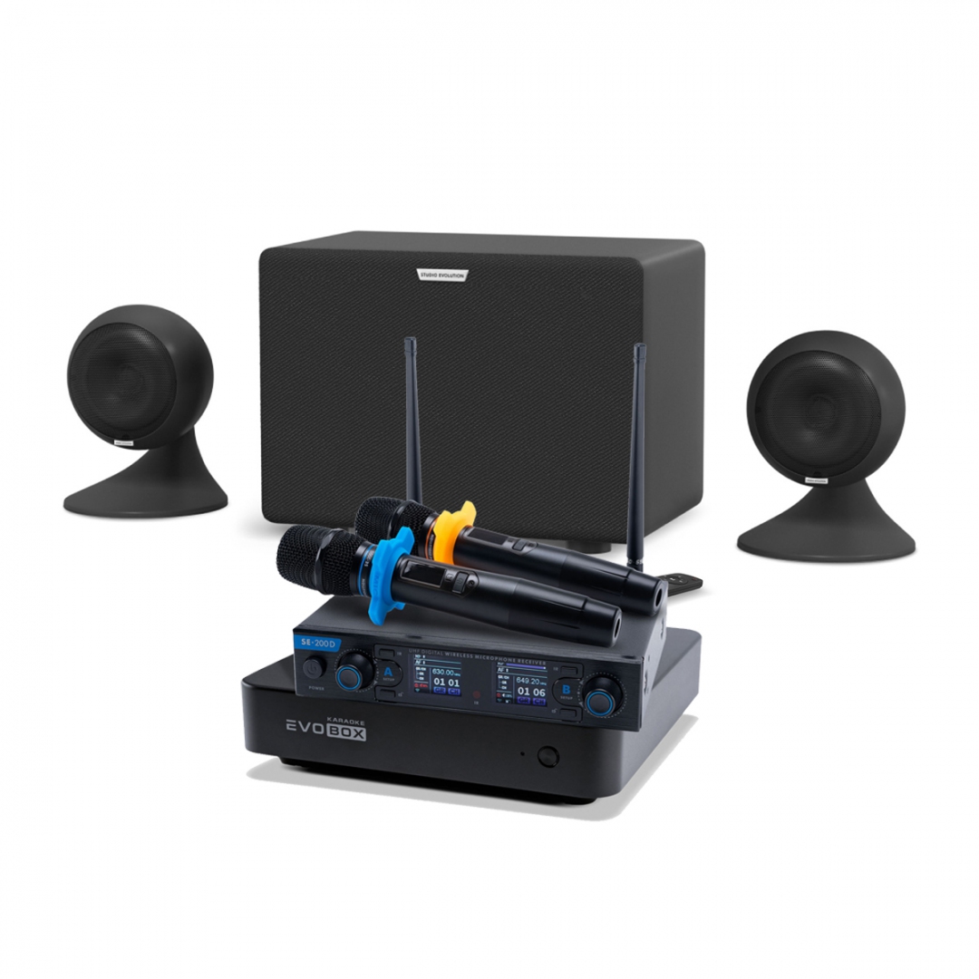 караоке-комплект EVOBOX + EvoSound Sphere 2.1 в Валдае