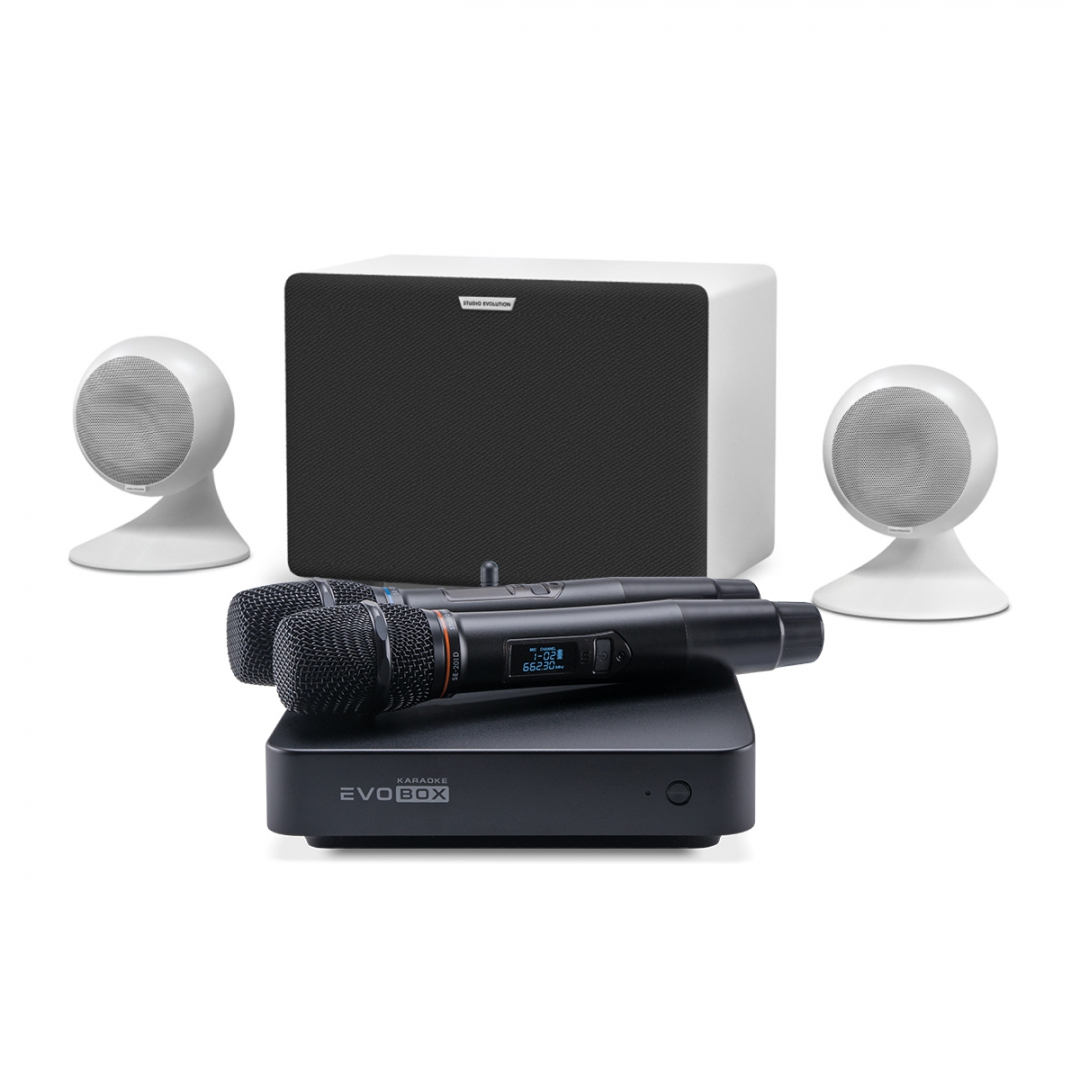 караоке-комплект EVOBOX Classic + EvoSound Sphere 2.1 в Валдае