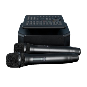караоке-комплект для Дома AST ZOOM 1/2 и EvoSound Bar (Саундбар с караоке) в Валдае